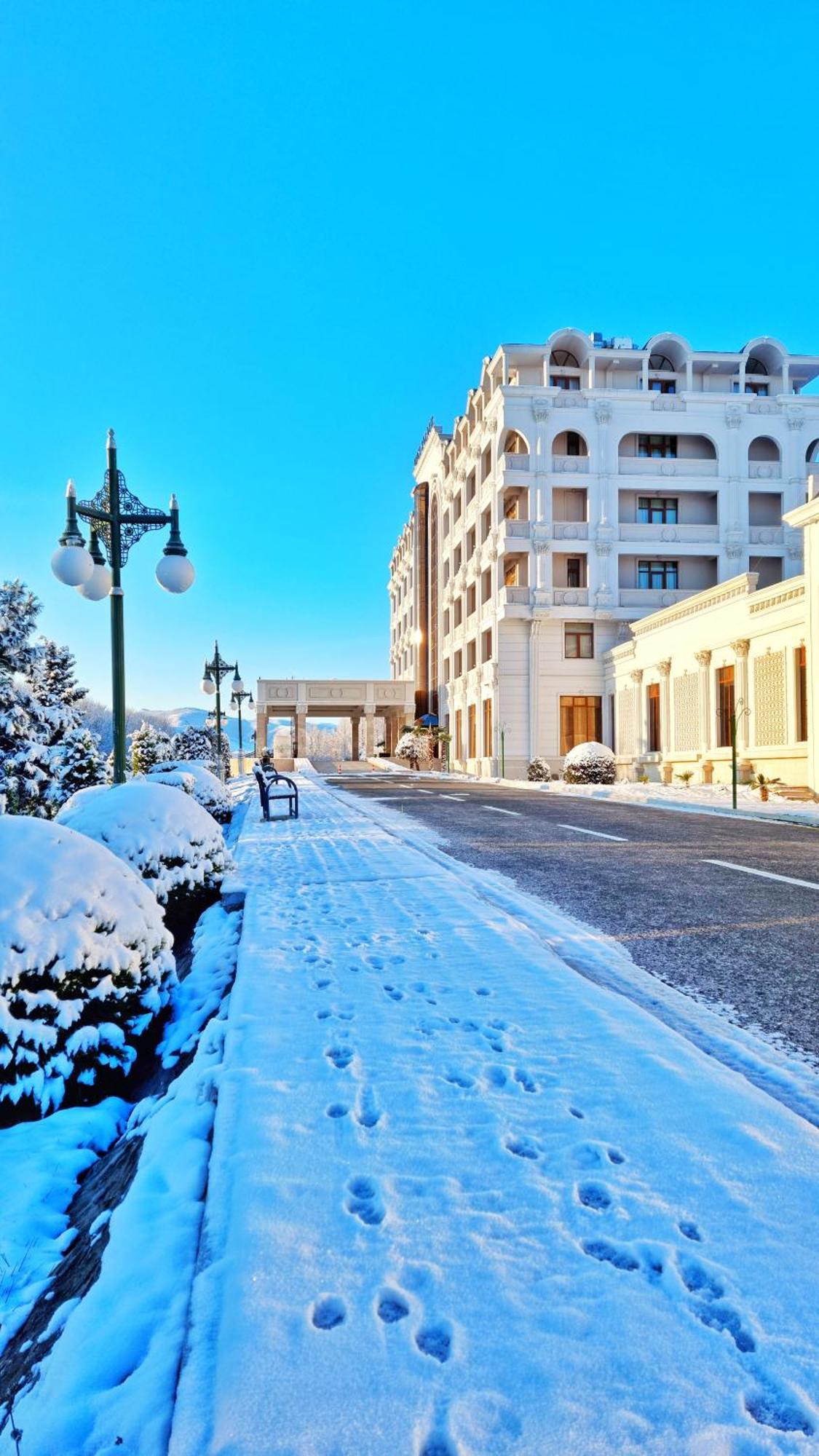 Ayan Palace Hotel Tovuz Bagian luar foto
